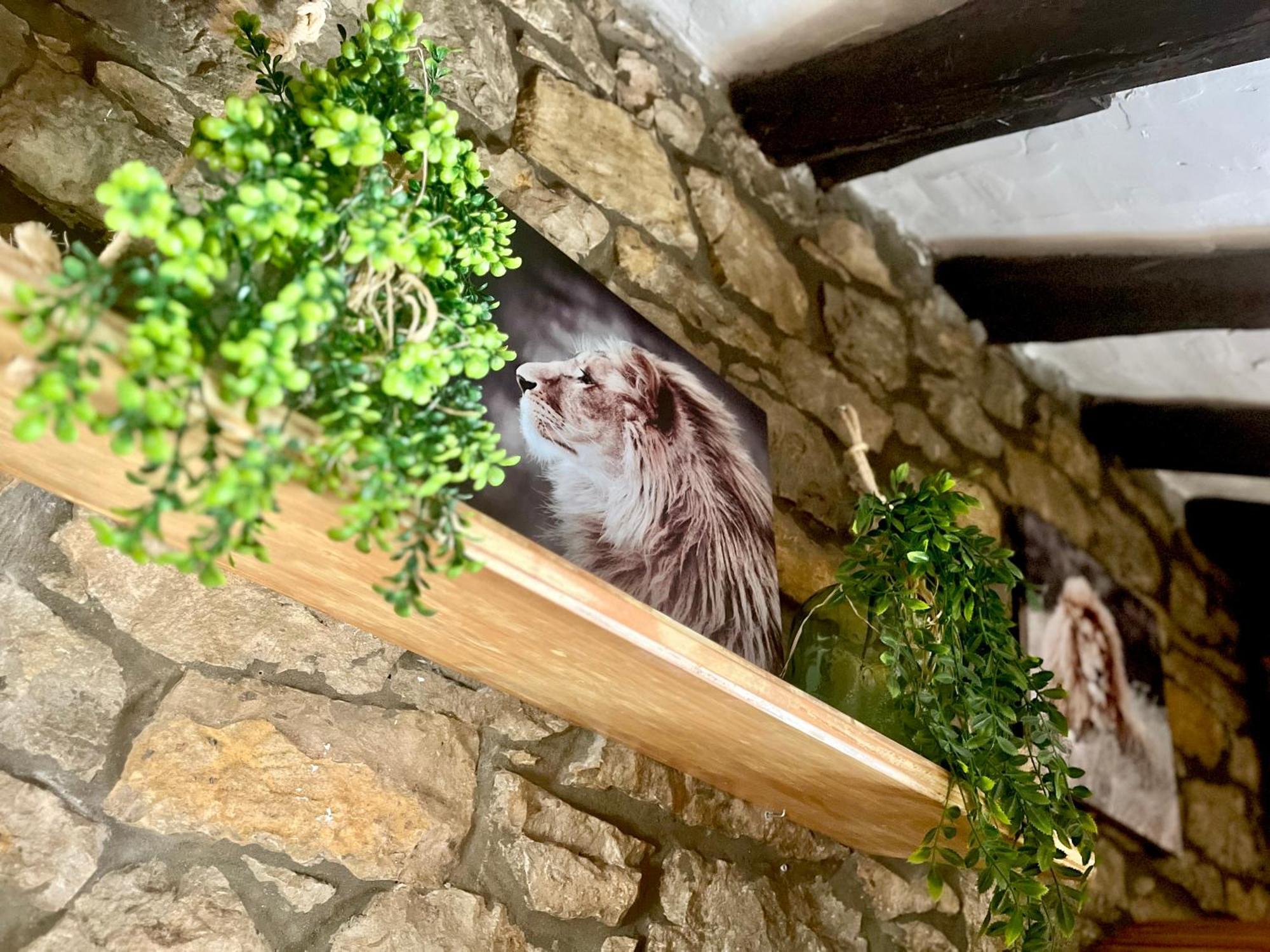 Apartamentos Nel I Santillana del Mar Eksteriør bilde